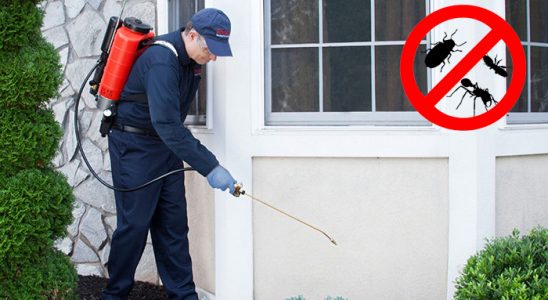 Buca Akrep İlaçlama böcek ilaçlama ve haşere kontrolü — ilaclama-tr.com
